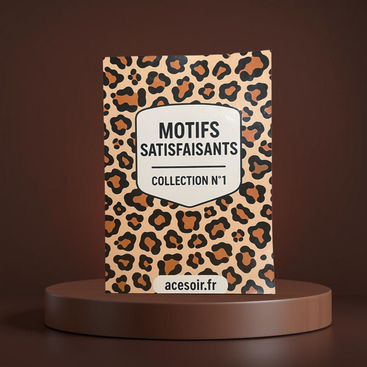 Motifs Satisfaisants n°1